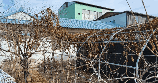 경상북도 포항시 남구 오천읍 구정리 313-22  단독주택 경매 물건 이미지