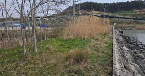 전남광주통합특별시 해남군 문내면 서상리 646-53 임야 경매 물건 이미지