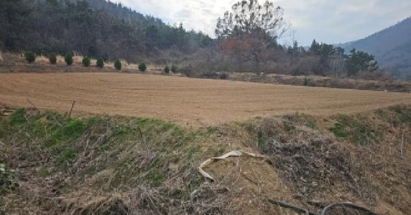 전남광주통합특별시 진도군 고군면 지막리 311 전 경매 물건 이미지