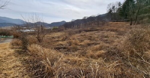 경상남도 하동군 적량면 관리 569-2 전 경매 물건 이미지