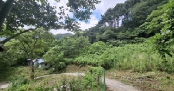 경상남도 하동군 청암면 묵계리 1486-3 전 경매 물건 이미지