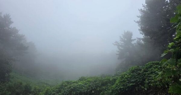 경상남도 남해군 창선면 진동리 809 전 경매 물건 이미지