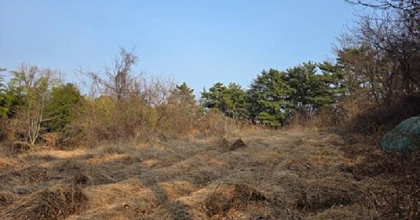 경상남도 남해군 고현면 도마리 1335-16 전 경매 물건 이미지