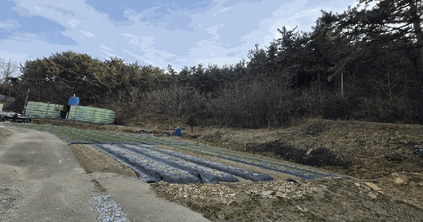 경상남도 남해군 고현면 도마리 산65-1 임야 경매 물건 이미지