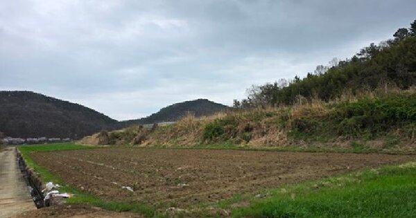 경상남도 사천시 곤양면 송전리 155-2 답 경매 물건 이미지
