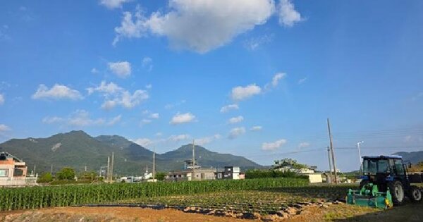 경상남도 사천시 대포동 55-2 답 경매 물건 이미지