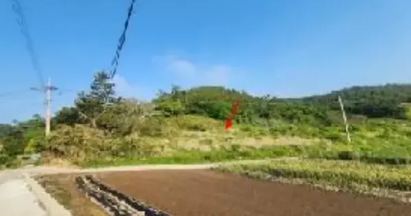 전남광주통합특별시 신안군 하의면 후광리 501 전 경매 물건 이미지