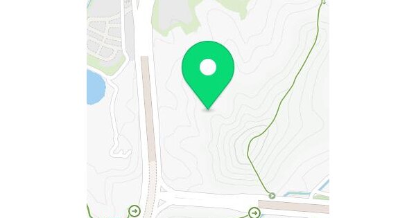 대구광역시 수성구 연호동 산85-1  임야 경매 물건 이미지