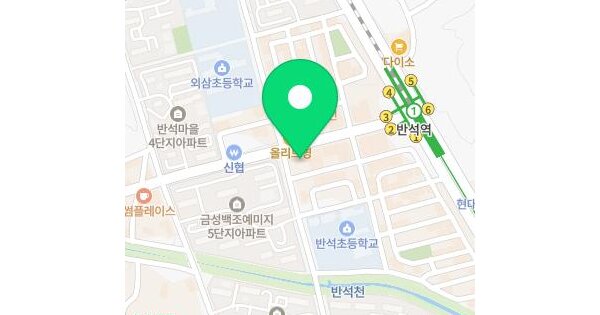 대전광역시 유성구 반석동 639-1 제일프라자  10층1001호 근린상가 경매 물건 이미지