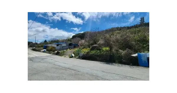 전남광주통합특별시 완도군 완도읍 군내리 393-3 전 경매 물건 이미지