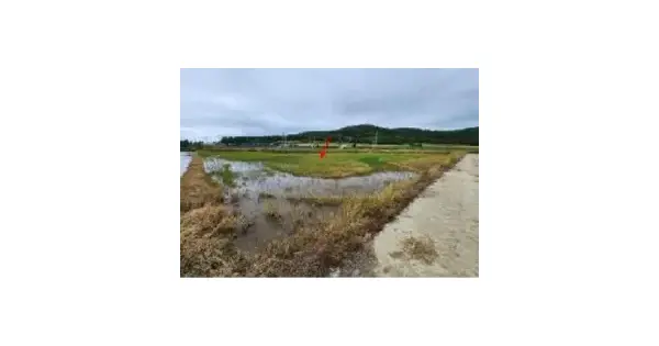 전남광주통합특별시 신안군 압해읍 대천리 994-1 답 경매 물건 이미지