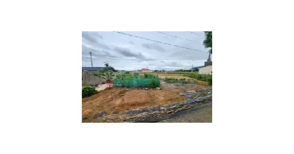 전남광주통합특별시 신안군 압해읍 대천리 692 전 경매 물건 이미지