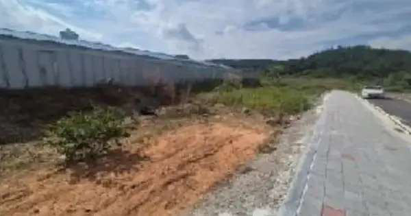 전남광주통합특별시 무안군 청계면 도림리 408-43 임야 경매 물건 이미지