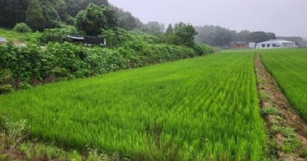경기도 양주시 남면 한산리 460-4 답 경매 물건 이미지