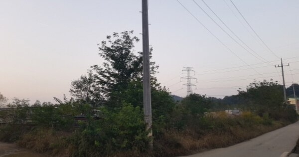 경기도 안성시 보개면 신장리 174-4 답 경매 물건 이미지