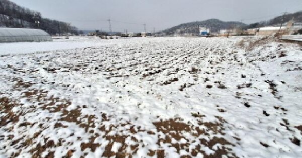 충청남도 당진시 대호지면 송전리 212 전 경매 물건 이미지