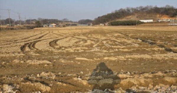 충청남도 당진시 송악읍 본당리 479-3 답 경매 물건 이미지
