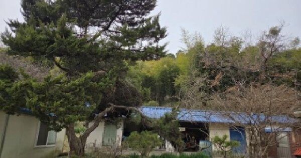 충청남도 당진시 시곡동 1082-3 대지 경매 물건 이미지