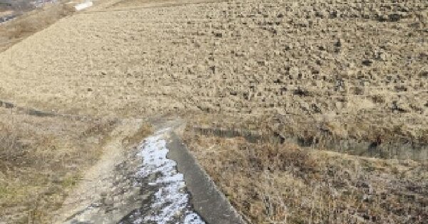 충청남도 보령시 주포면 관산리 455-2 답 경매 물건 이미지