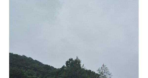 전남광주통합특별시 나주시 문평면 학교리 424 대지 경매 물건 이미지