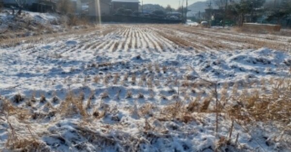 충청남도 아산시 영인면 창용리 27-44 전 경매 물건 이미지