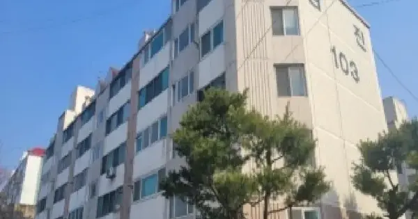 충청북도 청주시 상당구 영운동 41-3 삼진아파트 103동 6층602호 아파트 경매 물건 이미지