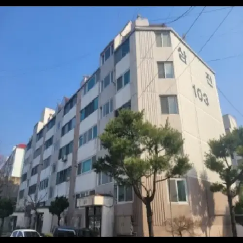 물건 사진