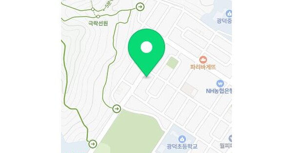 경기도 안산시 상록구 월피동 519-15 휴먼빌3차  5층501호 다세대주택 경매 물건 이미지