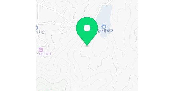 충청남도 부여군 장암면 석동리 92  미지정 경매 물건 이미지