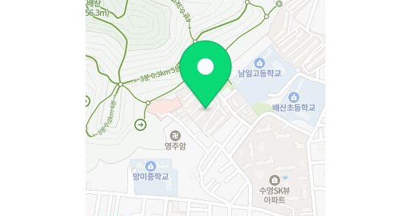 부산광역시 수영구 망미동 880-84 망미한신아파트 102동 3층307호 아파트 경매 물건 이미지