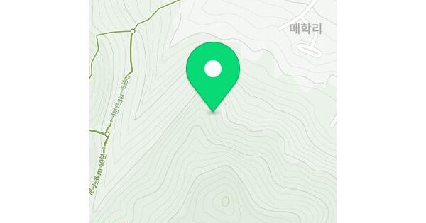 부산광역시 기장군 정관읍 매학리 산39  미지정 경매 물건 이미지