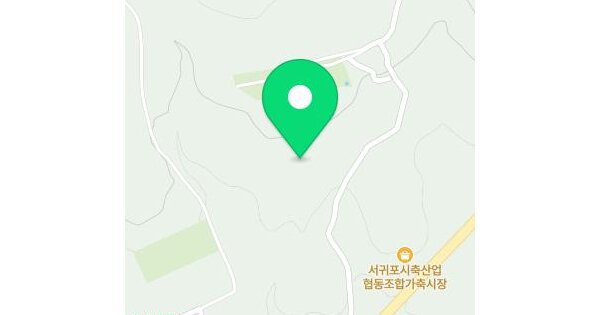 제주특별자치도 서귀포시 남원읍 수망리 976-16  미지정 경매 물건 이미지
