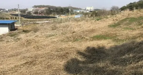 충청남도 아산시 영인면 창용리 376-7 임야 경매 물건 이미지