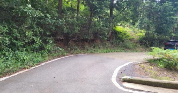 전남광주통합특별시 보성군 미력면 미력리 산103  임야 경매 물건 이미지