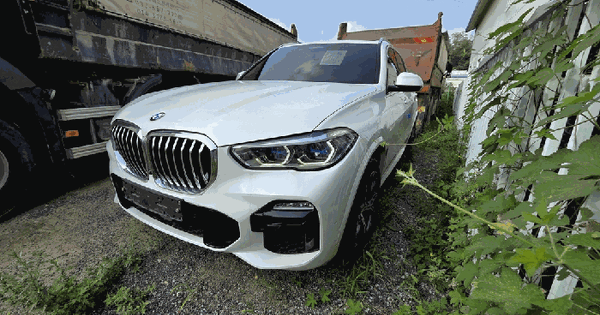 BMW X5 xDrive30d M Sport Package 등록번호 : 39머3939 기타차량 경매 물건 이미지
