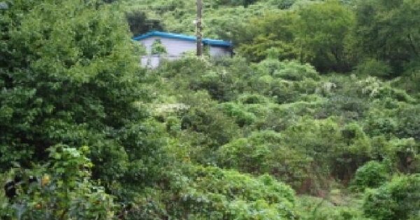 경상남도 밀양시 무안면 덕암리 506  창고시설 경매 물건 이미지