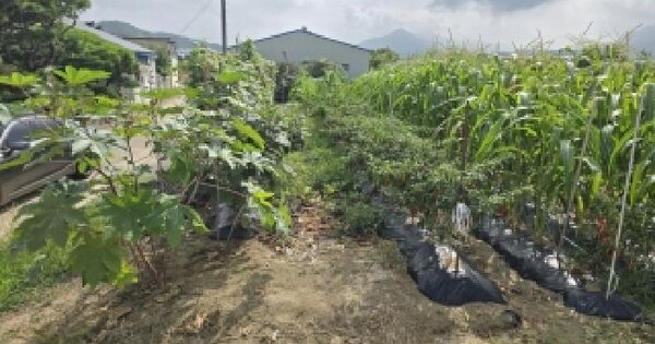 충청북도 충주시 동량면 용교리 363-3  대지 경매 물건 이미지