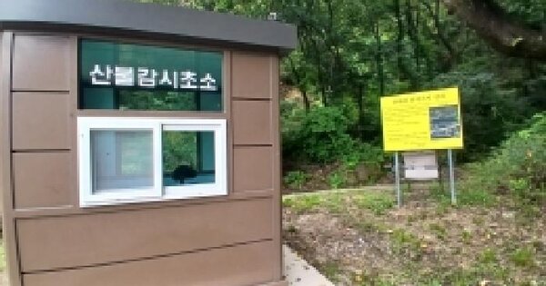경기도 성남시 분당구 운중동 산80  임야 경매 물건 이미지