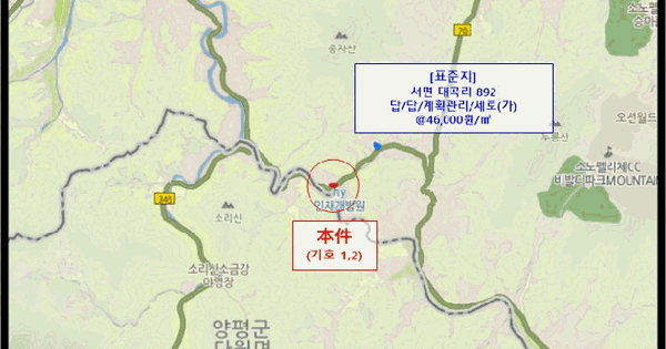 강원특별자치도 홍천군 서면 대곡리 1031-3  답 경매 물건 이미지