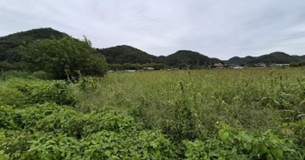 충청남도 금산군 진산면 행정리 412  답 경매 물건 이미지