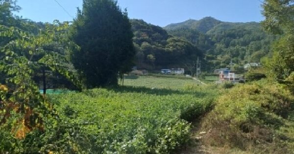 강원특별자치도 홍천군 내촌면 답풍리 619  전 경매 물건 이미지
