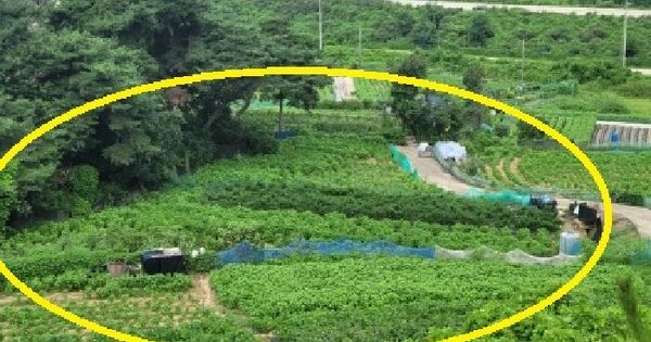 충청북도 청주시 상당구 남일면 송암리 347  전 경매 물건 이미지