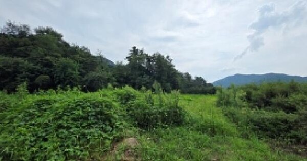 충청남도 예산군 덕산면 대치리 98  전 경매 물건 이미지