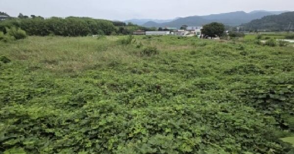 전북특별자치도 부안군 변산면 마포리 647-1  답 경매 물건 이미지