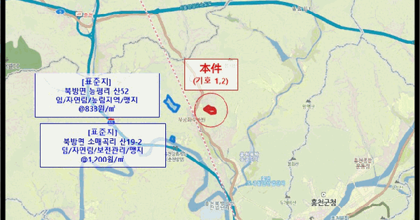 강원특별자치도 홍천군 북방면 능평리 산33  임야 경매 물건 이미지