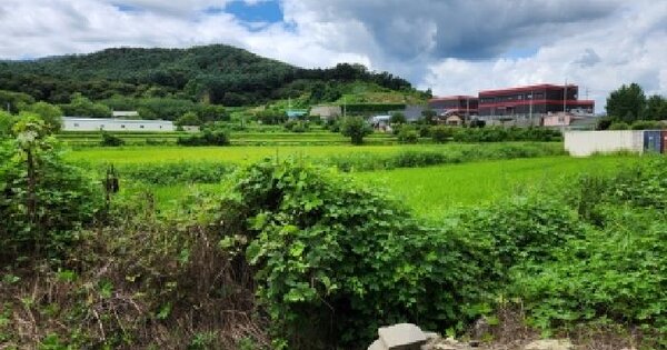 경기도 남양주시 수동면 운수리 46-3  답 경매 물건 이미지