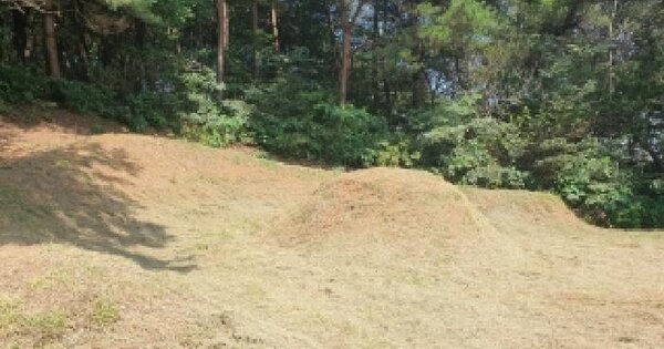 경기도 화성시 만세구 서신면 사곶리 산94-1  미지정 경매 물건 이미지