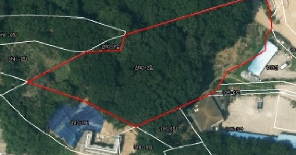 경기도 수원시 장안구 이목동 산42-2  임야 경매 물건 이미지