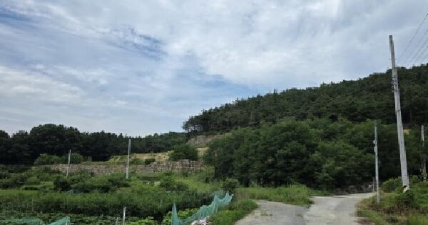 경상북도 구미시 산동읍 임천리 산55  임야 경매 물건 이미지