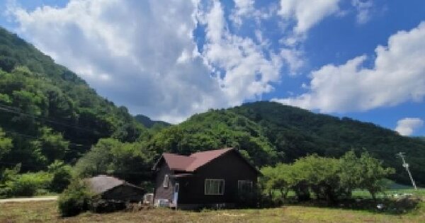 강원특별자치도 태백시 원동 산79  임야 경매 물건 이미지